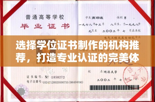 洱源选择学位证书制作的机构推荐，打造专业认证的完美体验